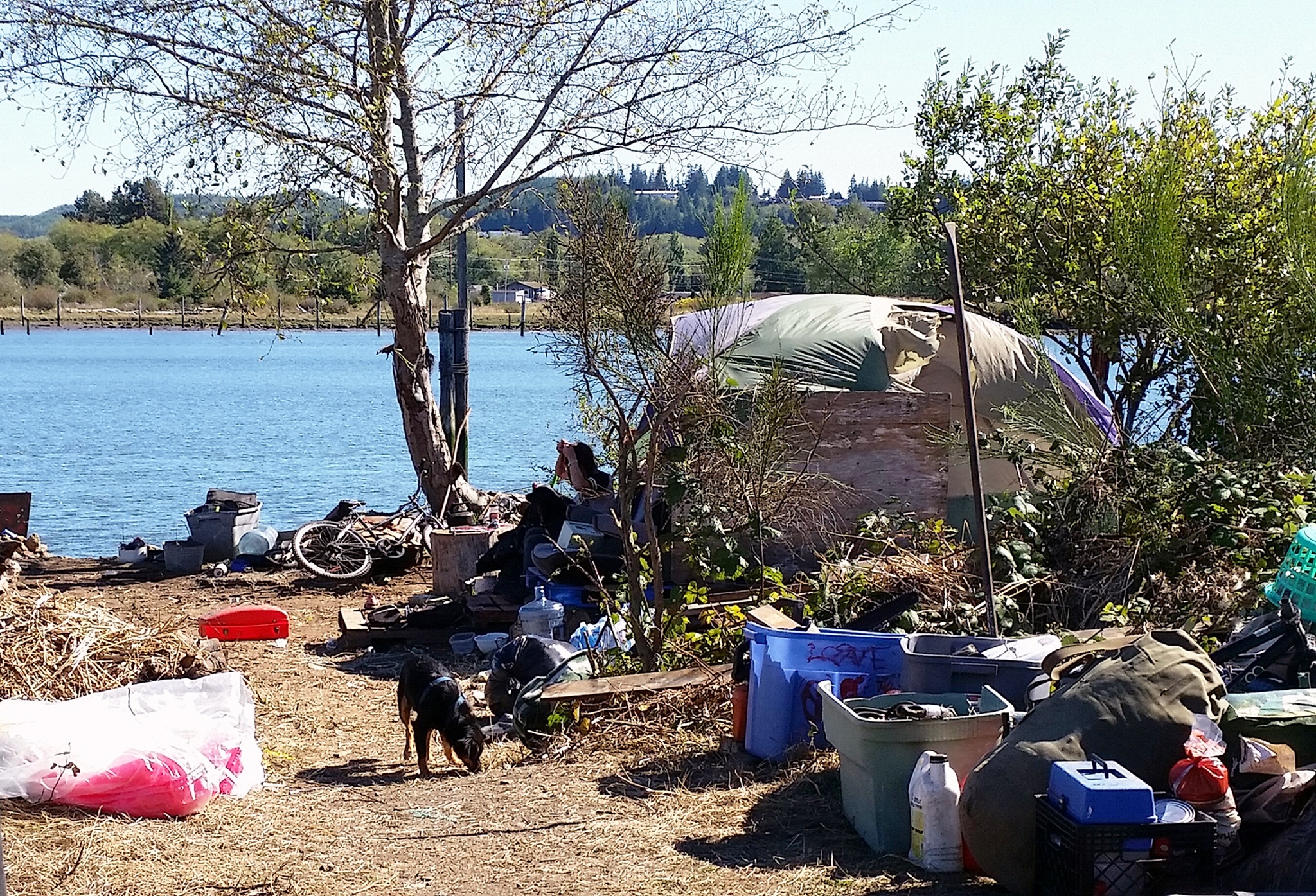 A homeless encampment along the Chehalis River in Aberdeen in mid-September before property owners ejected the squatters. The Grays Harbor County Housing Coalition on Tuesday heard about upcoming changes in the collection of Document Recording Fees used for homeless and affordable housing programs. (Terri Harber|The Daily World)