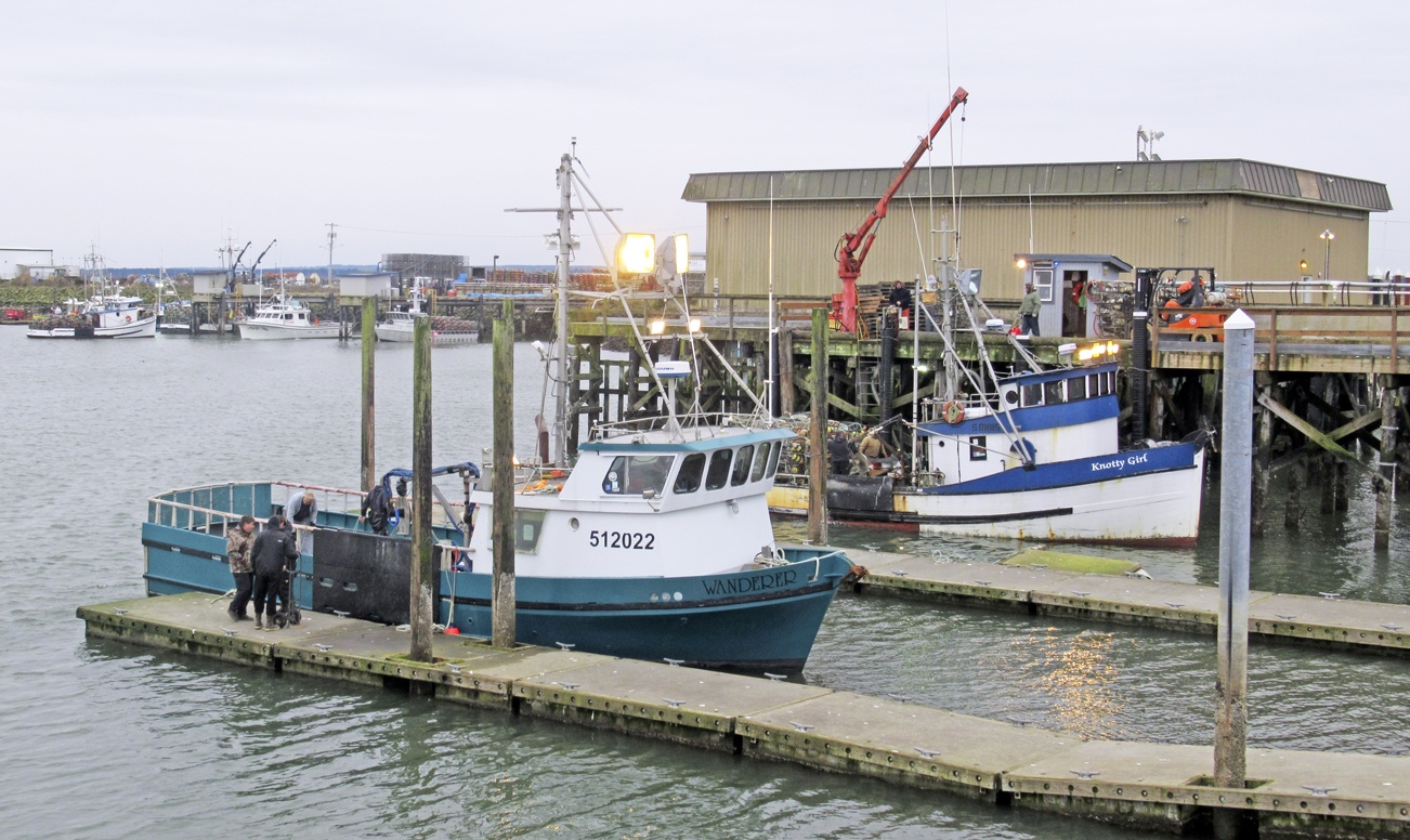 Activity at the Westport Marina ramped up well before dawn Saturday, as crabbers finished loading their pots, topped off fuel tanks and headed out to sea. BARB AUE | SOUTH BEACH BULLETIN