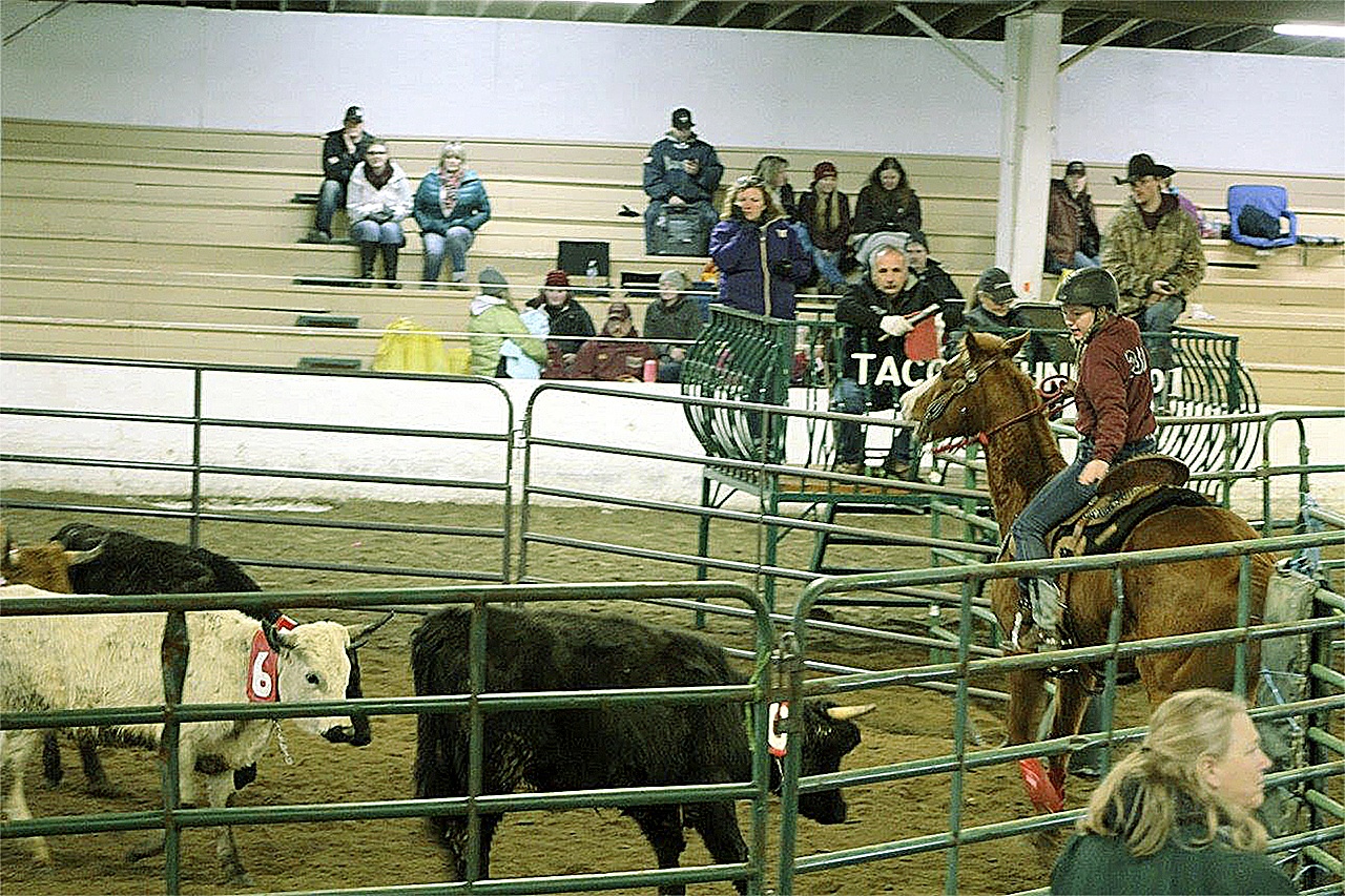 Hallie Stubb participating in the team sorting event. (TRAVIS RAINS|GH NEWSPAPER GROUP)