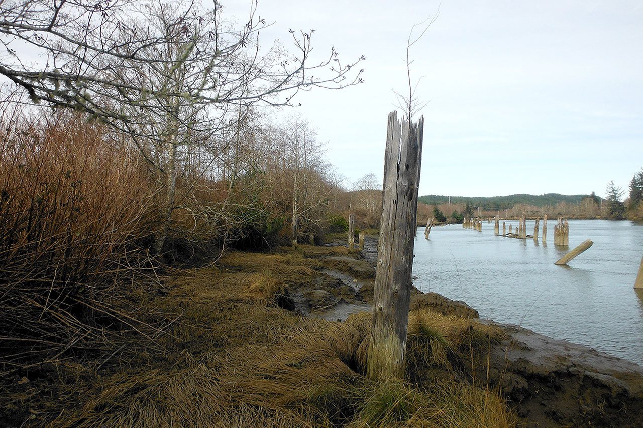The outfall of the new Ramer Street pump house would be on the west bank of the Hoquiam River near the existing sewer pump station. The two pumps would feature independent pipes and power sources, and the stormwater outfall will be fitted with a tide gate to prevent high tide events from backing up the system and preventing the drainage of stormwater from the city of Hoquiam. The City is meeting with consultants Thursday to discuss specific aspects of the project, applying for permits for the pump station next week, and plans to begin construction in the early summer.