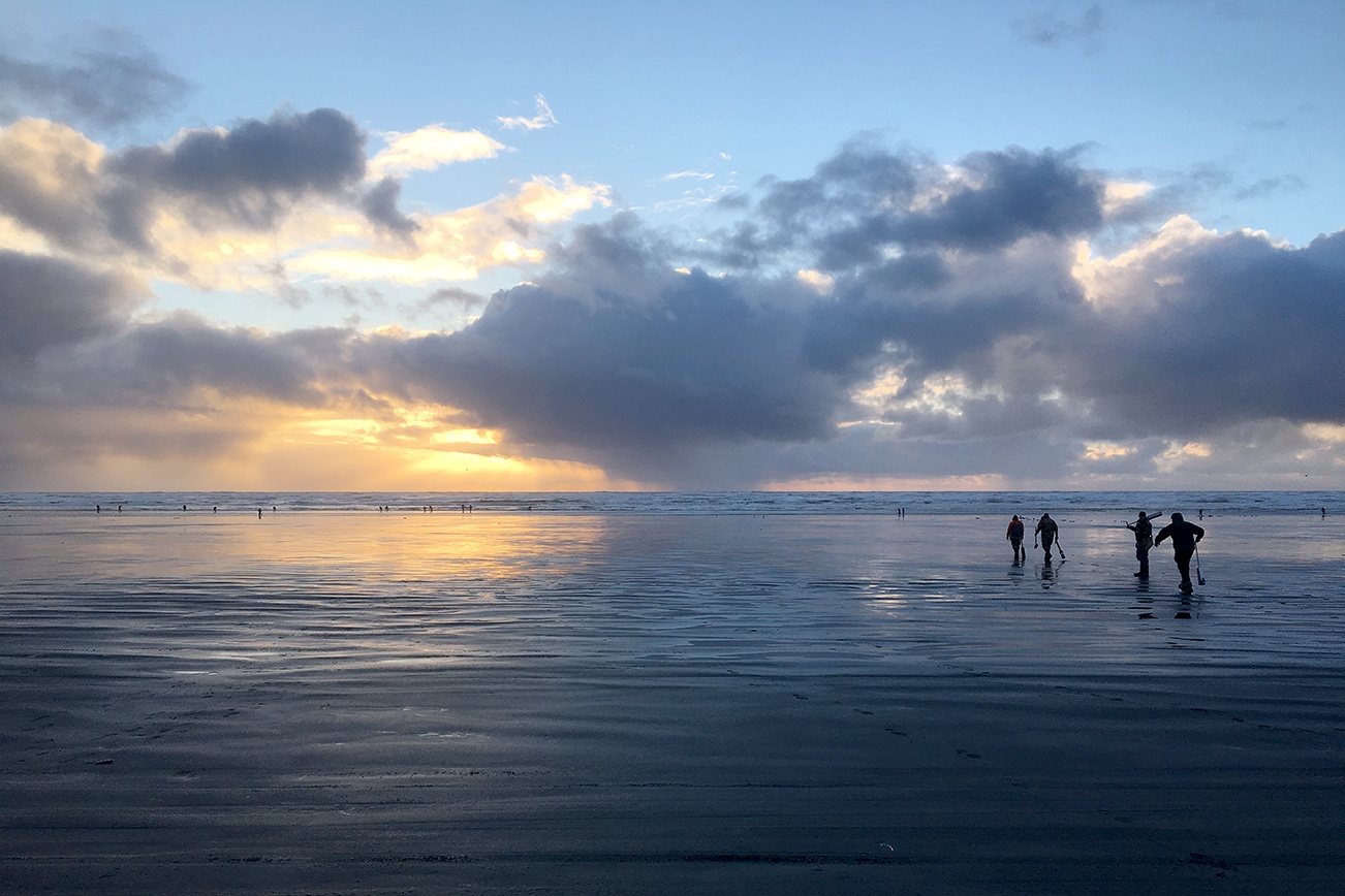 Some razor clam beaches will open for digging Feb. 23, and Fish and Wildlife has released a list of tentative digs through early April. This is Roosevelt Beach at Mocrocks just before low tide Feb. 10. (DAN HAMMOCK|THE DAILY WORLD)