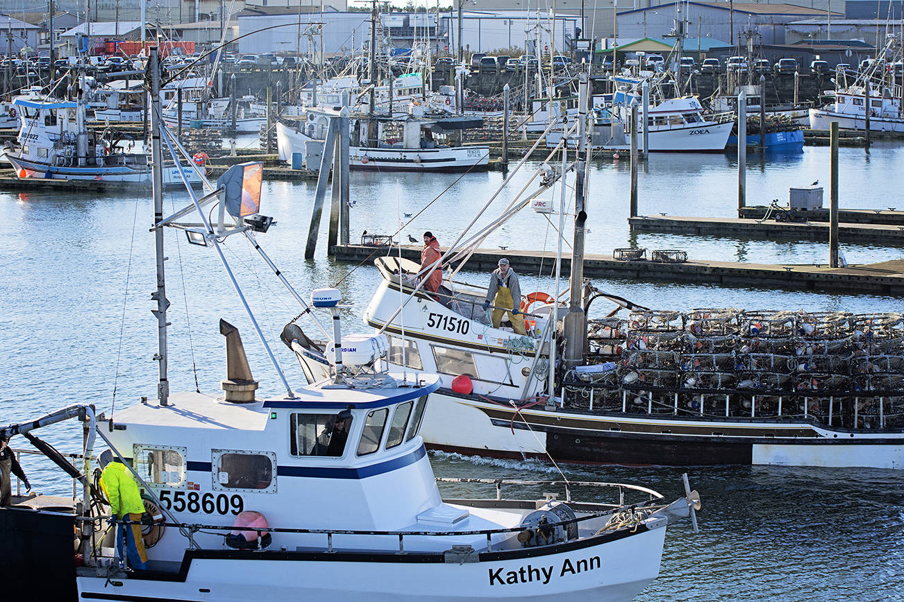 Westport Marina has once again come in first among Washington’s seafood landings, according to the most recent numbers available from NOAA. More than 84 million pounds of seafood made its way to the marina in 2015, valued at $65 million.