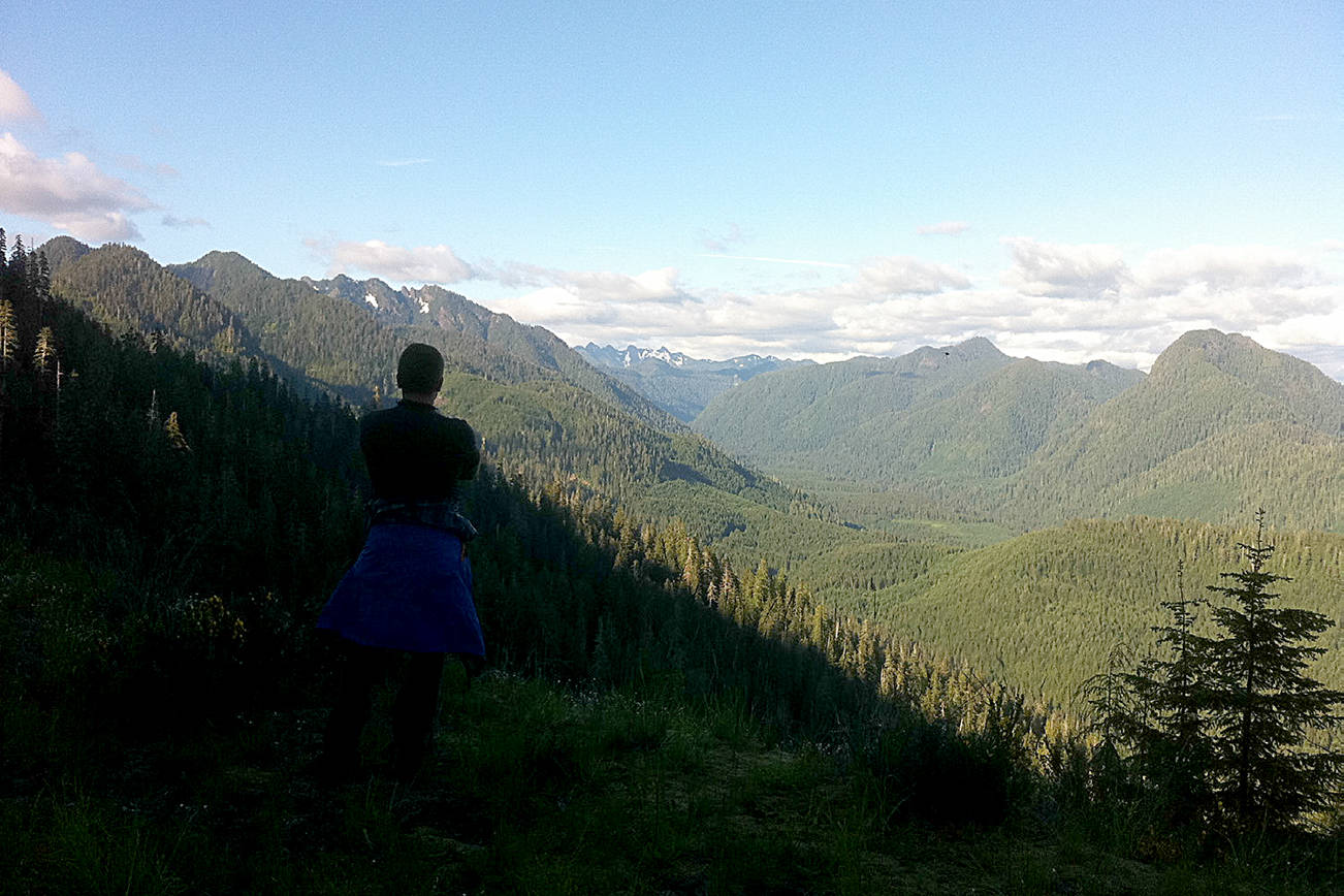 The South Quinault Ridge and Moonlight Dome areas of the Olympic National Forest are part of the Wild Olympics legislation reintroduced by Sen. Patty Murray and Rep. Derek Kilmer Wednesday. Here a hiker stops at the South Quinault Ridge proposed wilderness, taking in the view of the Moonlight Dome proposed wilderness.