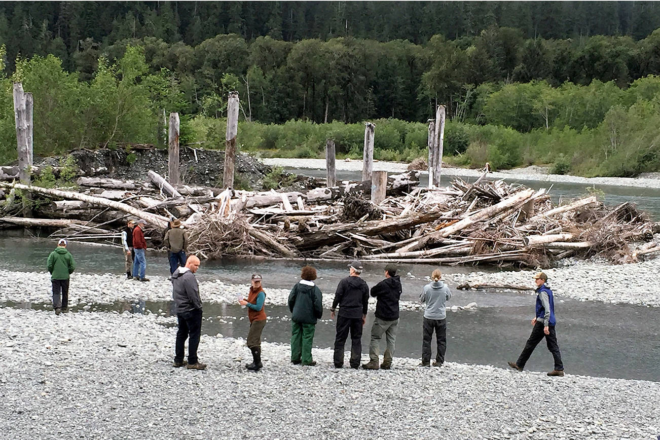 QUINAULT INDIAN NATION PHOTO                                The Quinault Indian Nation is offering a tour June 22 of its salmon habitat-restoration projects along the Queets and Quinault rivers.