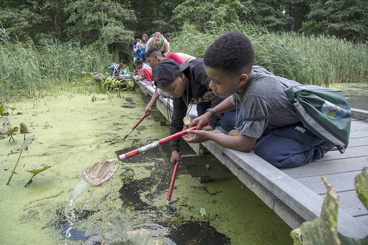 Clem Murray | Philadelphia Inquirer                                 Participating in a camp project at the Heinz Wildlife Refuge in Tinicum, Pennsylvania, are fifth-graders including, from right, Safir Wearind and Larry Maxfield, both 10.
