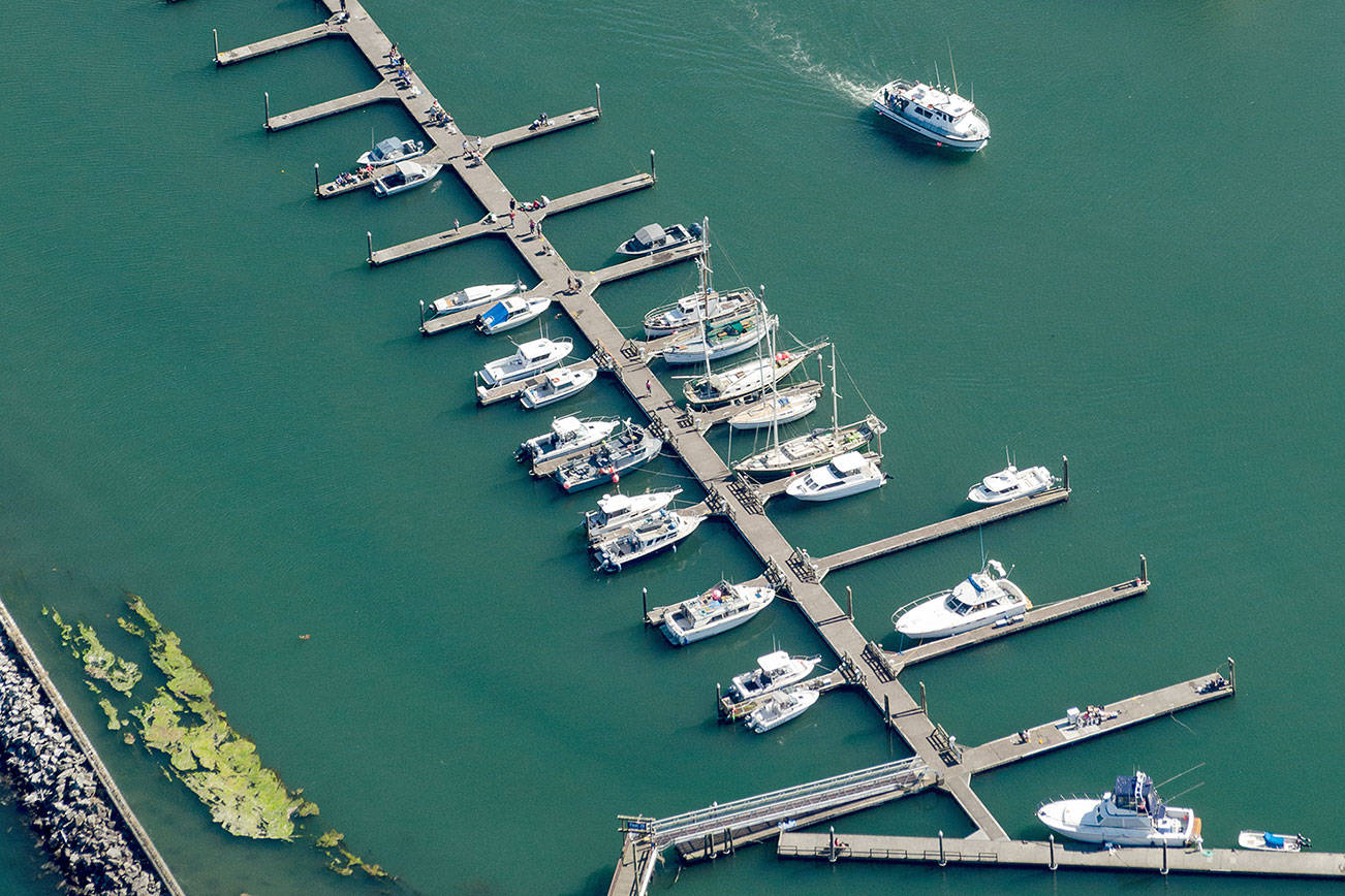 Westport leaseholder airs safety concerns after gates removed from