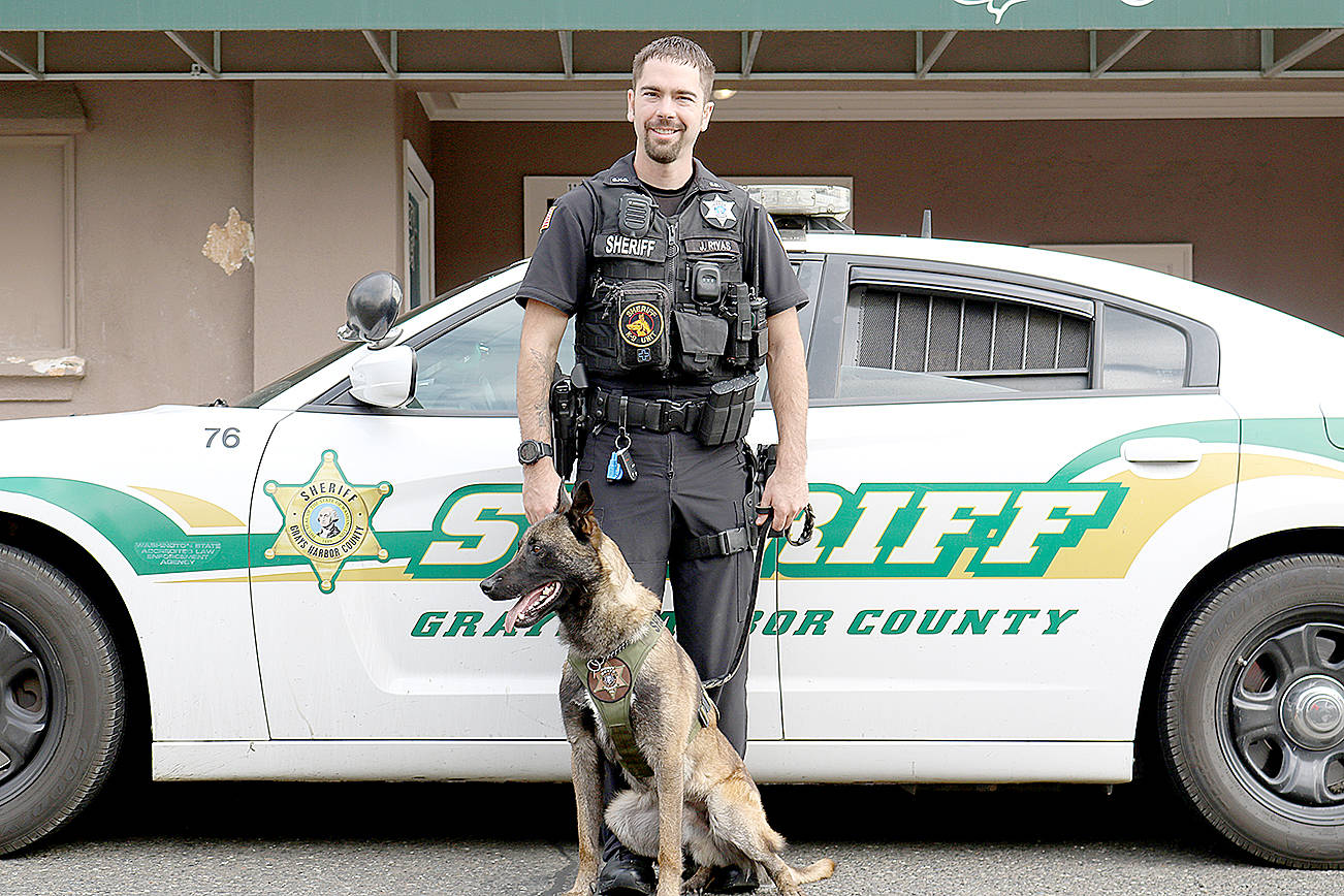 New pup on patrol for Sheriff’s Office