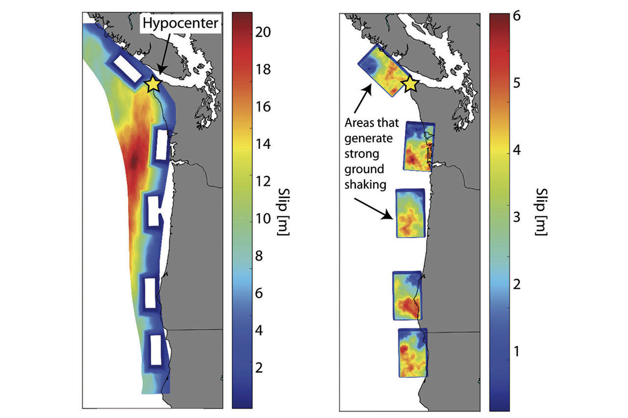 A simulation of the upcoming earthquake shows how shaking would occur with a hypocenter just off the northwest tip of the Olympic Peninsula. The cutout rectangles represent unknown areas of plate ‘stickiness’ that create increased shaking. (University of Washington Flickr)