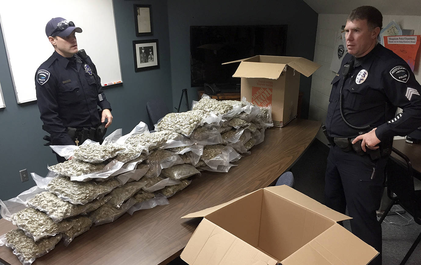 HOQUIAM POLICE DEPARTMENT PHOTO                                Hoquiam Police officers start going through the large amount of processed marijuana found in a storage locker Thursday. A receipt for the storage locker was found in the illegal marijuana growing operation taken down Dec. 1.