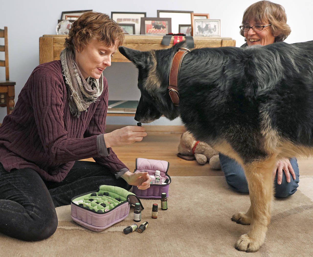 Tom Wallace | Minneapolis Star Tribune                                 Amy Williams Delong conducts a dog aromatherapy session with client Julie Northenscold and her dog Izzy, finding the scents of cinnamon and ginger were her favorites. The dog will select the scents it likes, and she’ll mix a fragrance accordingly.