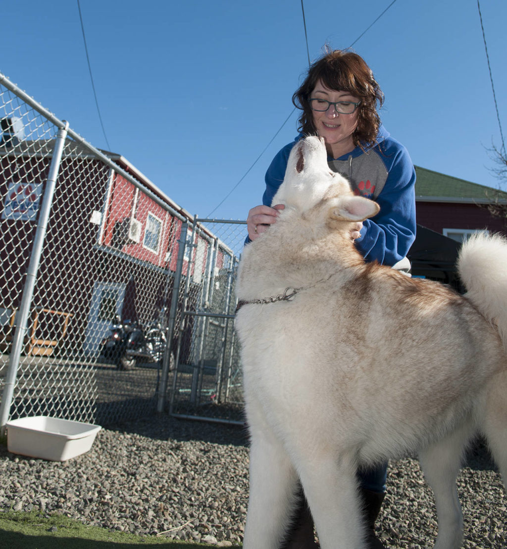 PAWS of Grays Harbor gets a new alpha as director steps down The