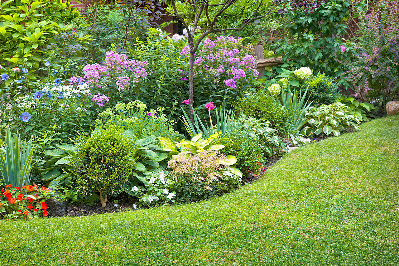 Your May calendar of gardening chores