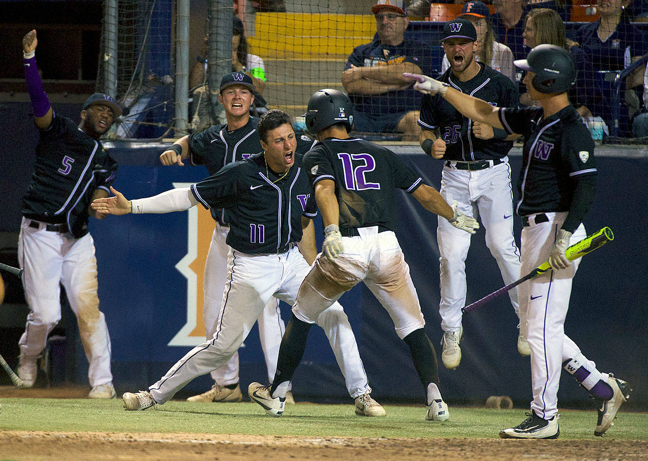 Washington Huskies players celebrate after scoring a run late in Sunday’s game against Cal State Fullerton. (Photo by Matt Brown)
