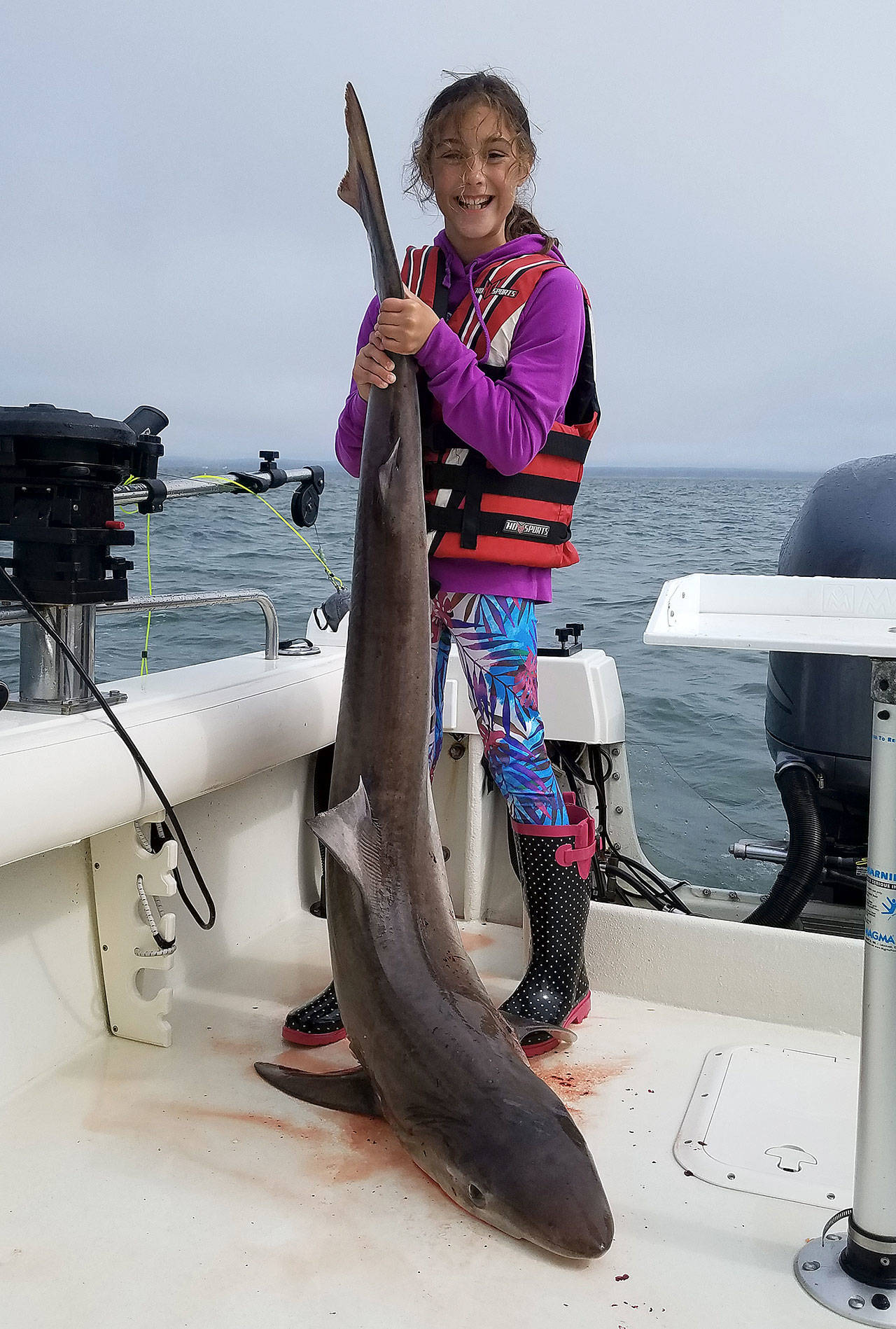 Isabella Tolen of Lake Stevens established a state record when she caught this 41-pound tope shark off the coast of Grays Harbor in late July. (Photo courtesy of WDFW)