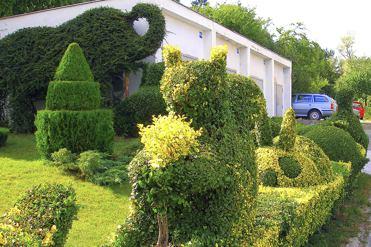 Topiaries from boxwoods and other shrubs. (Doko Jozef Kotulič)