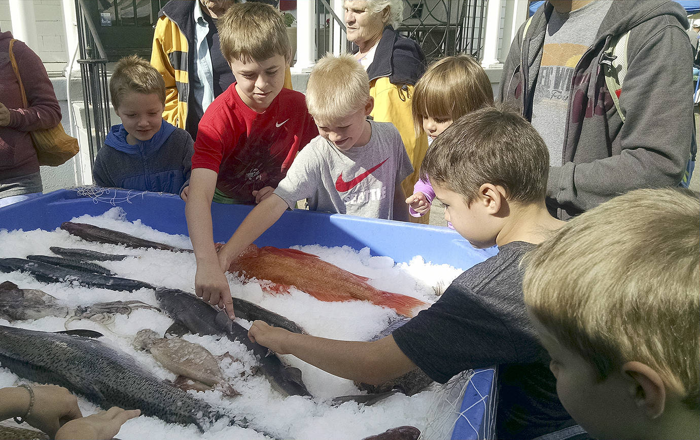 KAT BRYANT | THE DAILY WORLD                                A popular attraction at the Westport Seafood Festival is a display of the many fish species that can be found off the coast.