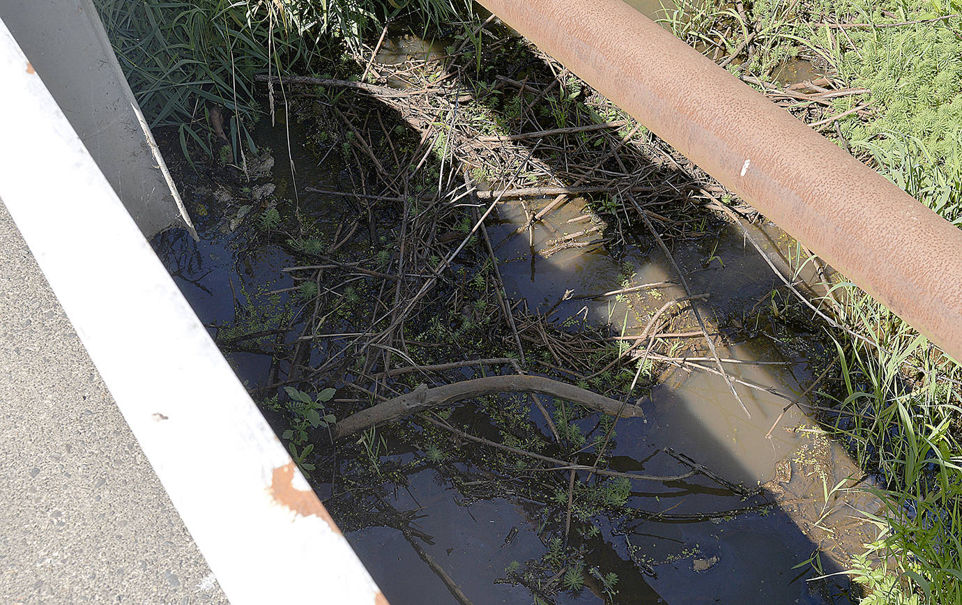 DAN HAMMOCK | THE DAILY WORLD Remnants of a beaver dam, according to locals, continue to back up the irrigation ditch under the Cranberry Road Bridge. The county has said the bridge will be repaired and the ditch cleared by Sept. 17.