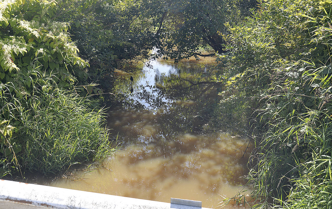 DAN HAMMOCK | THE DAILY WORLD Stagnant high water stacks up the drainage ditch south of the Cranberry Road Bridge in Grayland. Repairs to the bridge are expected to start Monday and if all goes to plan will be completed by the end of the week.