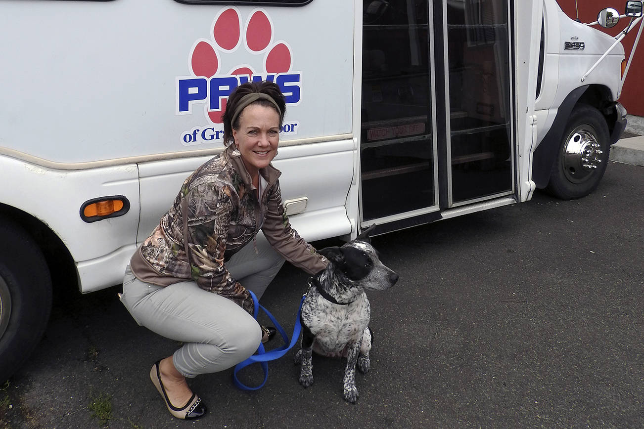 PAWtoberfest organizers hope to raise funds for transport van