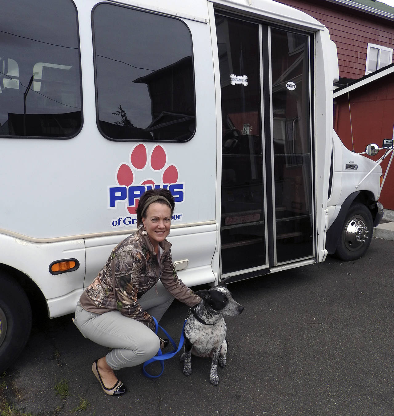 Kat Bryant | The Daily World                                Molle Bouch, board president of PAWS of Grays Harbor, hopes to raise enough money to replace the group’s 12-year-old Ford E-450. With her is Xena, a 2-year-old blue heeler/pit bull mix who’s looking for a home.