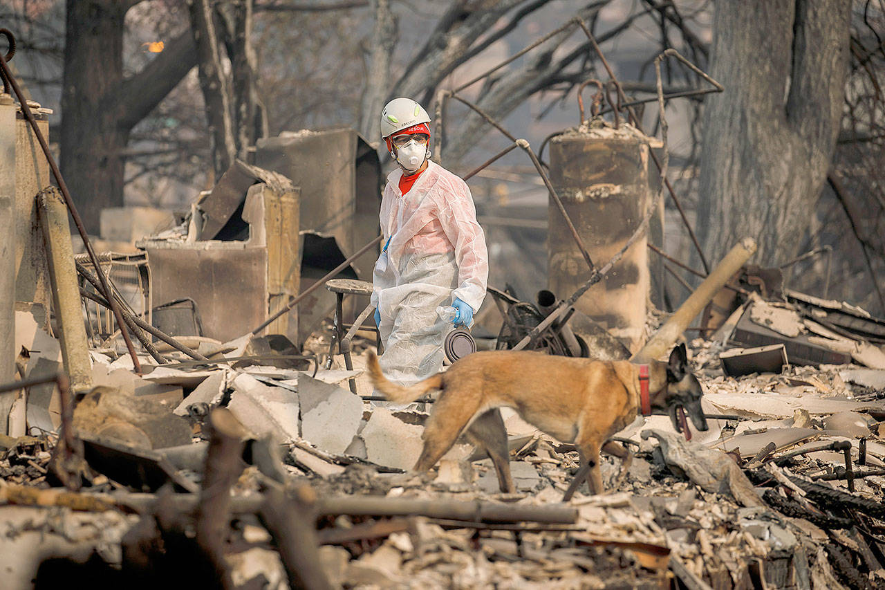 A search and rescue team combs through the debris for possible human remains at Paradise Gardens subdivision, in Paradise, Calif., on Friday. (Marcus Yam/Los Angeles Times/TNS)
