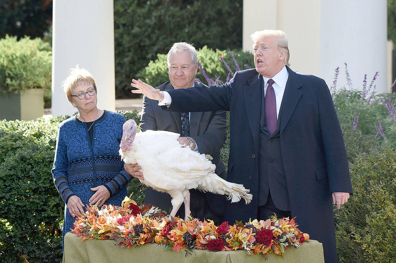 Talking Turkey: President jabs at Democrats and recounts during annual pardoning ceremony