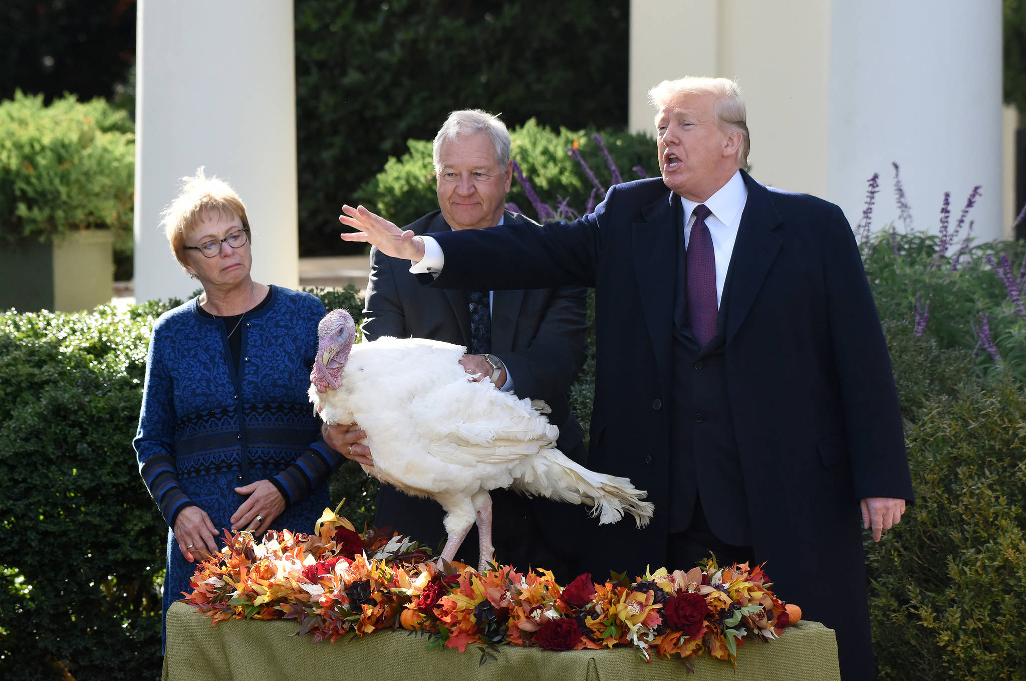 The 2016 election cut Thanksgiving dinners short. Will the 2018 election do the same?