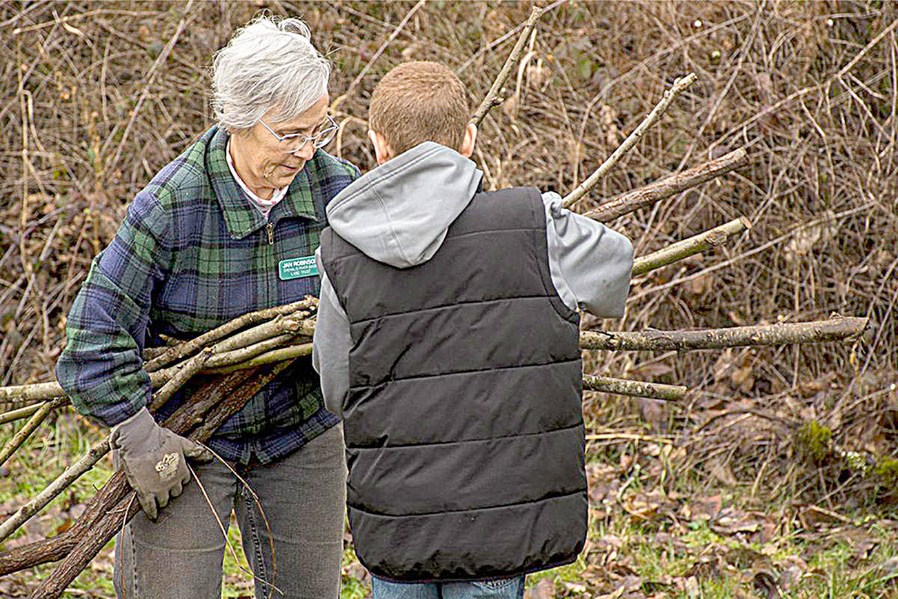 Montesano students continue tradition of planting trees along Discovery Trail in Centralia