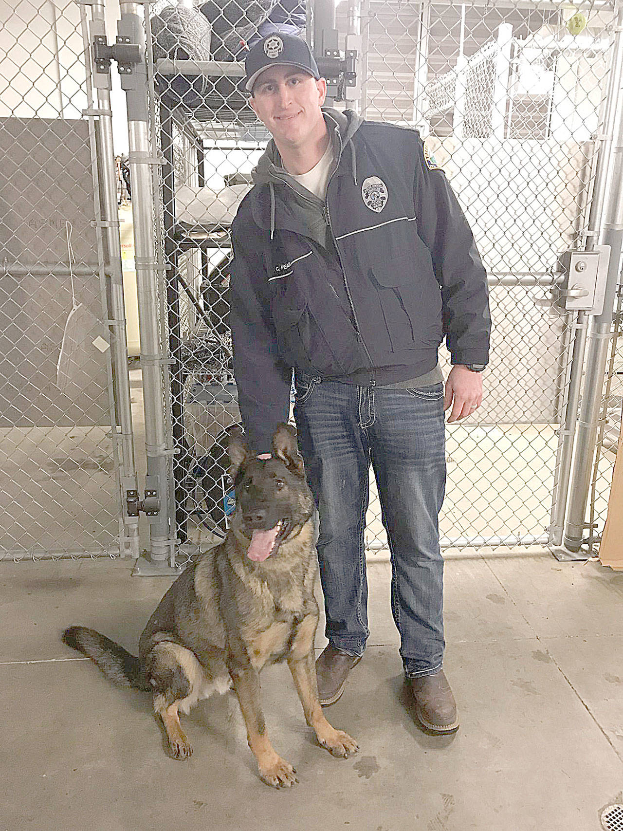 COURTESY ABERDEEN POLICE DEPARTMENT                                The Aberdeen Police Department has a new officer, K-9 in training Ronin, a 20-month-old German shepherd donated by a Tacoma animal rescue organization. Pictured is Ronin’s handler, officer Chad Pearsall, who was instrumental in acquiring a K-9, according to chief Steve Shumate.