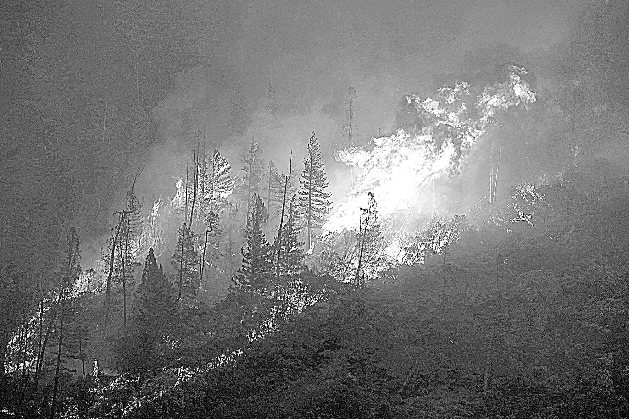 Logging, money battles delay wildfire prevention work