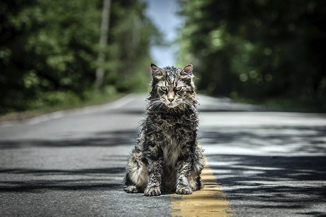 Church the cat is played by a Maine coon in the remake of “Pet Sematary.” (Paramount)