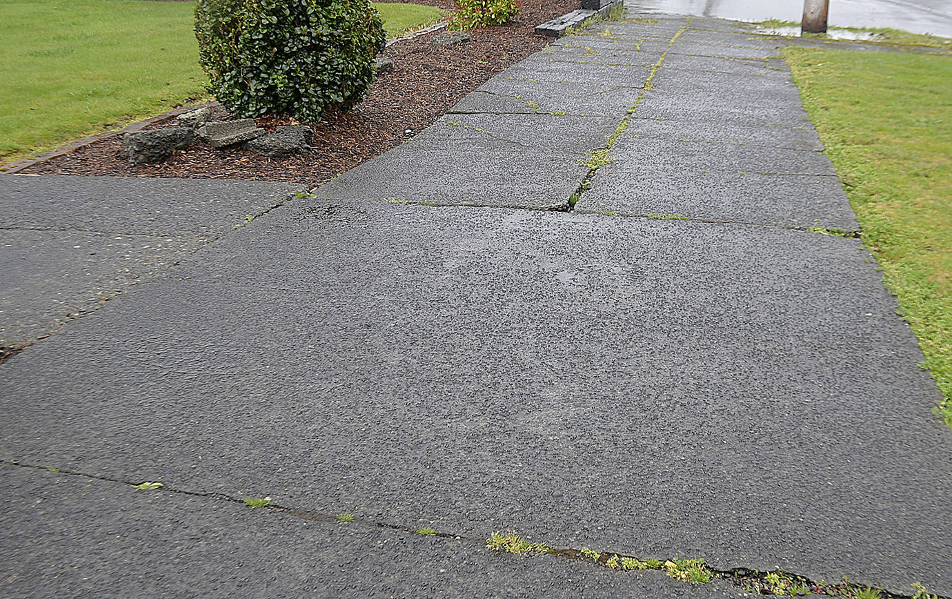 DAN HAMMOCK | GRAYS HARBOR NEWS GROUP Hoquiam residents can share the cost of sidewalk repairs with the city. Residents pay for the cost of concrete and the city removes and replaces the sidewalk through the citys Residential Sidewalk Partnership Program.