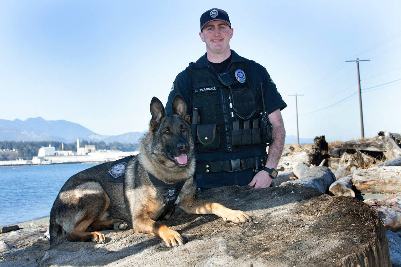 (Courtesy photo) Police Dog Ronin with his handler, Aberdeen Police Officer Chad Pearsall.