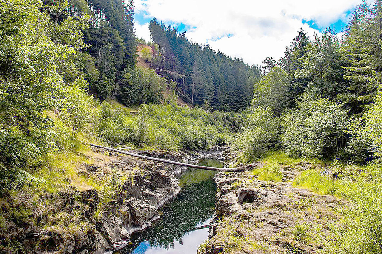 The proposed dam site is on the Chehalis River near Pe Ell in Pacific County. (Photo courtesy of The Chronicle)