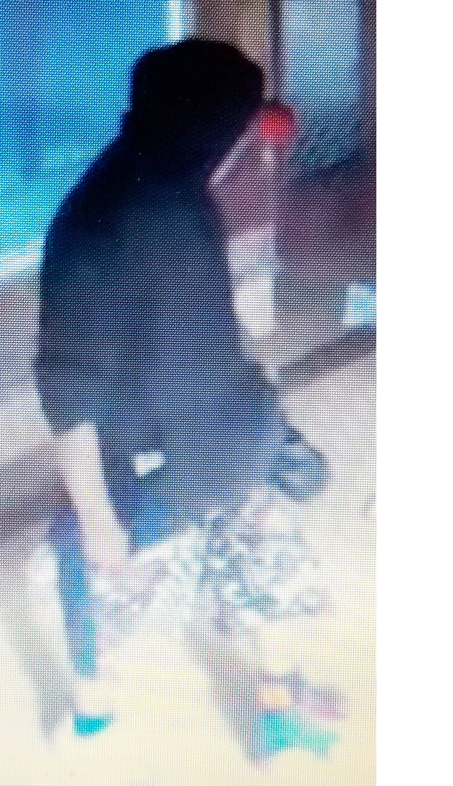 (Courtesy Aberdeen Police Department) This surveillance camera image is of one suspect Aberdeen Police believe to be involved in a break-in at the DR Theater this weekend.