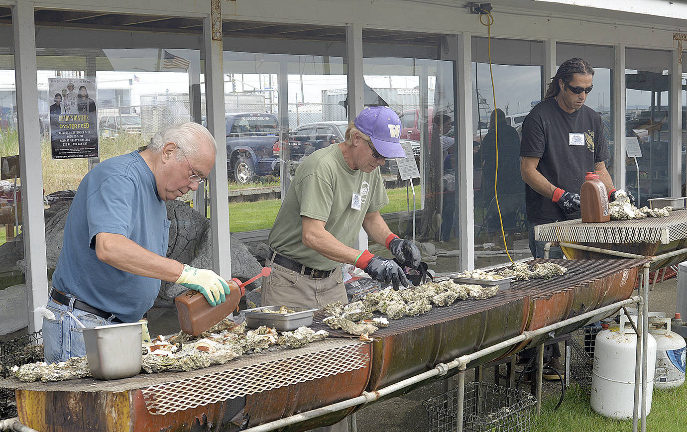DAN HAMMOCK | GRAYS HARBOR NEWS GROUP                                Volunteers grill Pacific oysters at the Westport Seafood Festival Saturday.