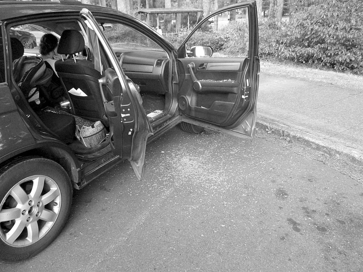 Trooper breaks window after dog locks car with infant inside The