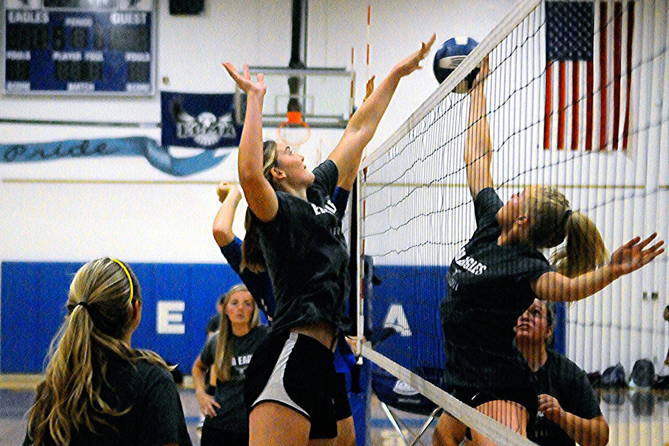 Prep Volleyball Preview: Set for an interesting season