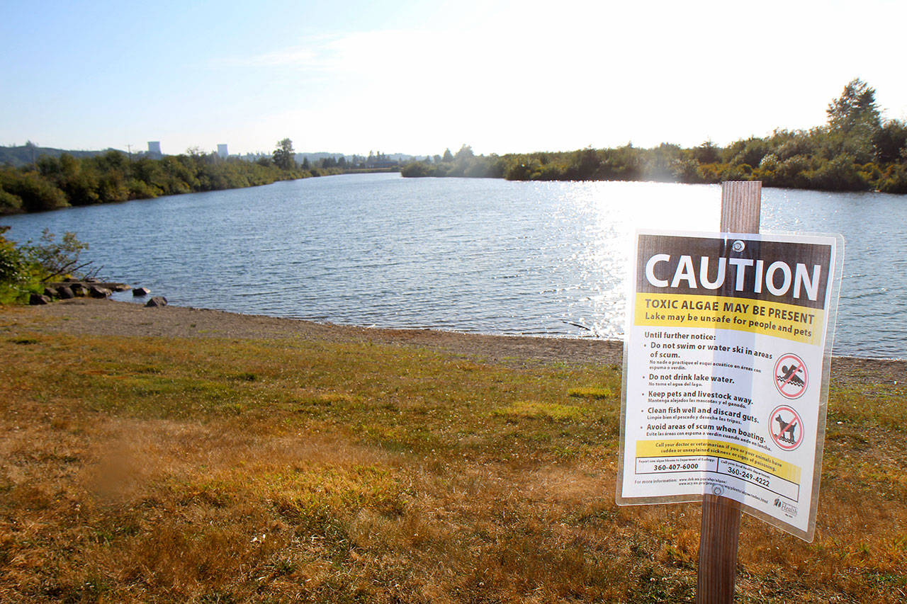 A warning sign is posted beside Vance Creek County Park Pond No. 2 this month south of Elma. Similar warnings will be seen around fresh water in Ocean Shores. On Friday, the county issued a warning about the presence of blue-green algae in fresh water in and around the city. The algae can make people sick or be fatal to animals, including pets. Residents are advised to stay out of the water. (Michael Lang | Grays Harbor News Group)