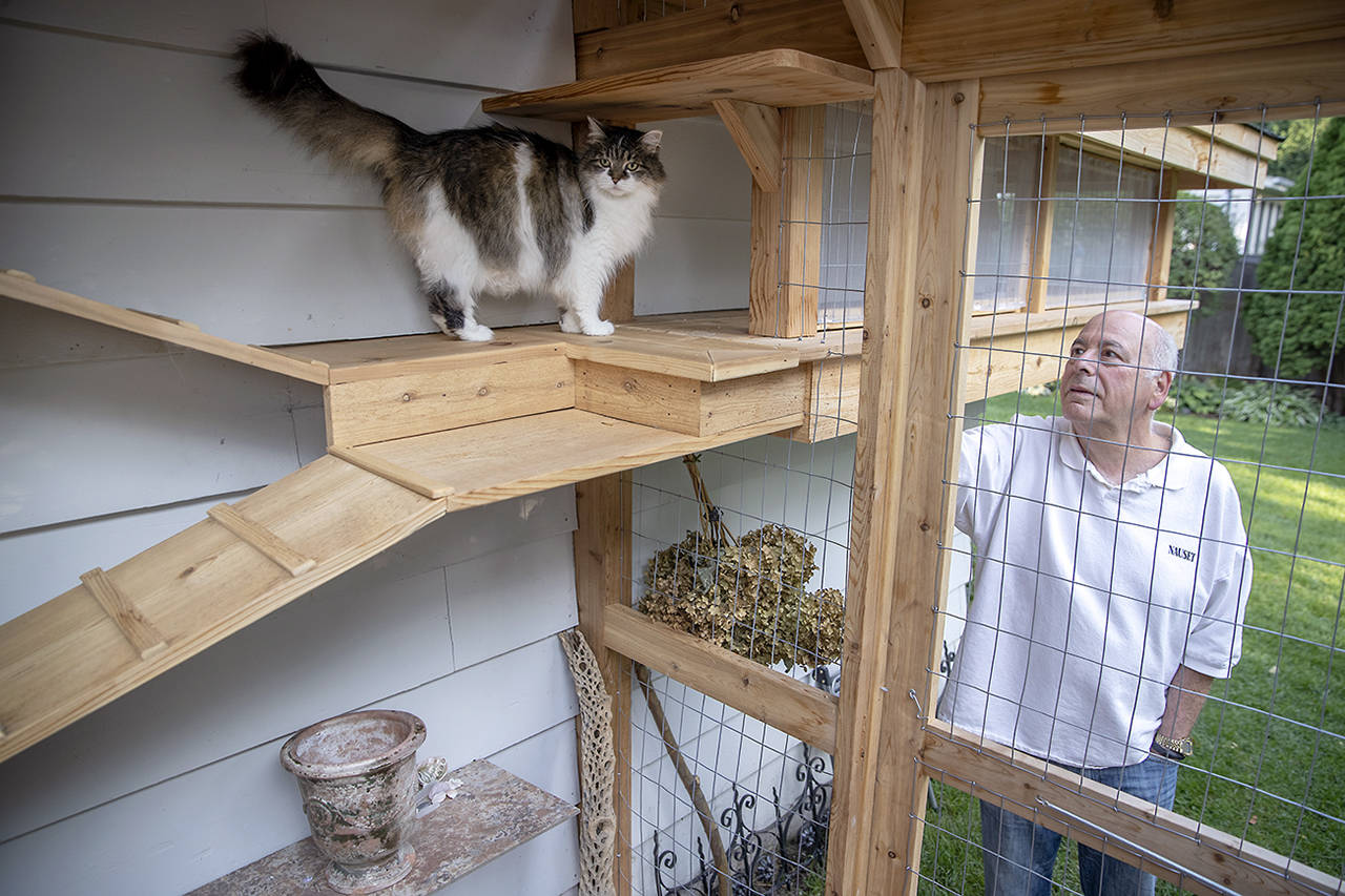Photos by Elizabeth Flores | Minneapolis Star Tribune                                David Baum watches Coco from outside the three-season catio.