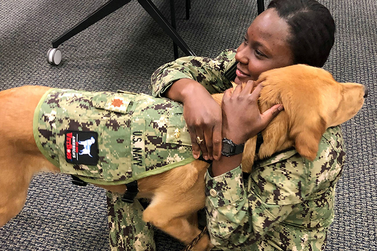 Sit, heal: Dog teaches military medical students the merits of service animals