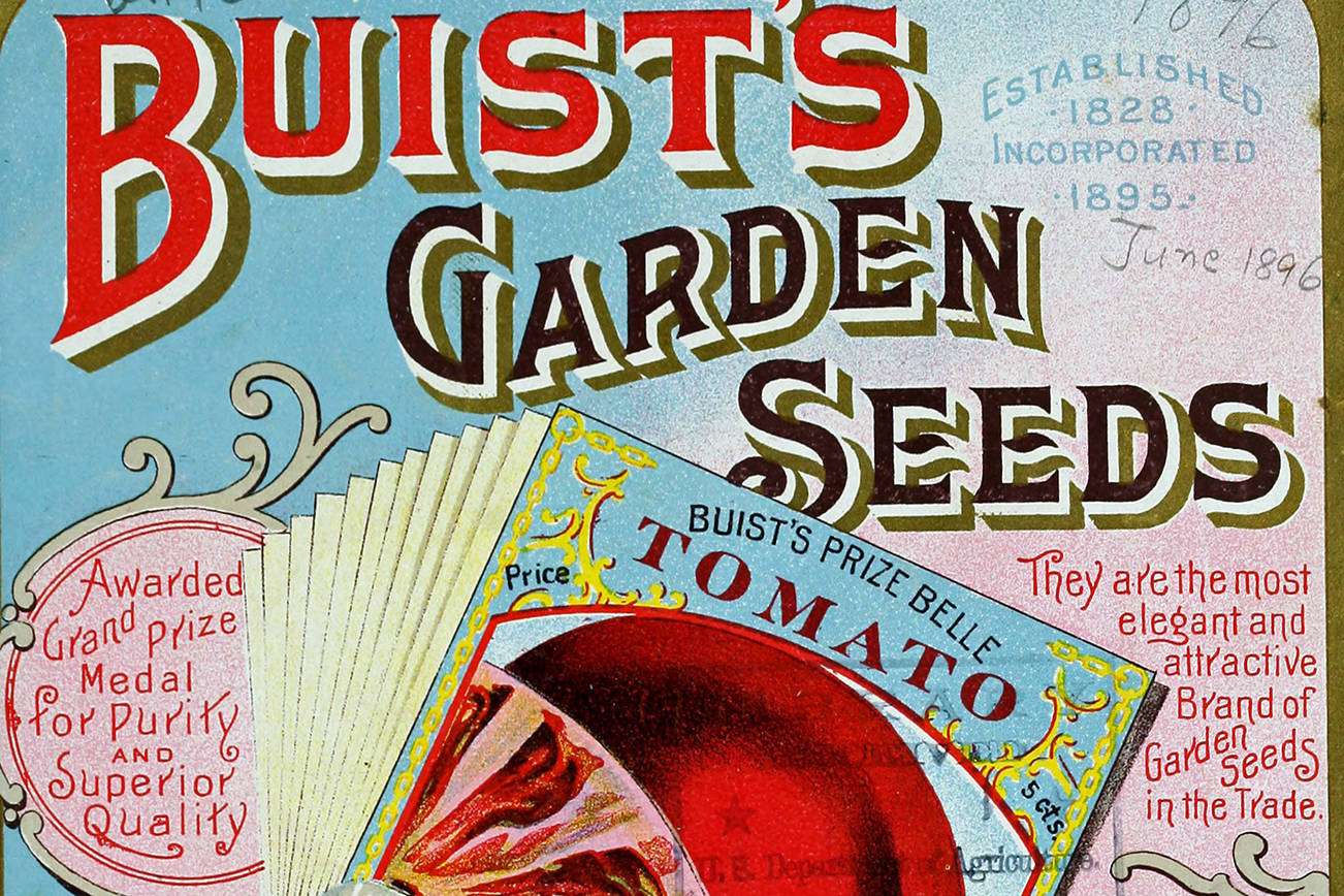 Seed money: A short history of garden catalogs