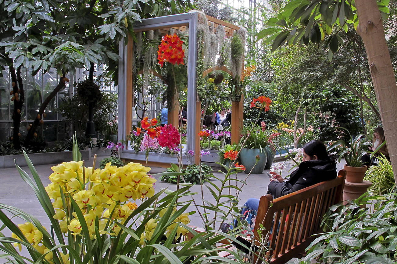 Glass houses: The role of garden conservatories in plant preservation
