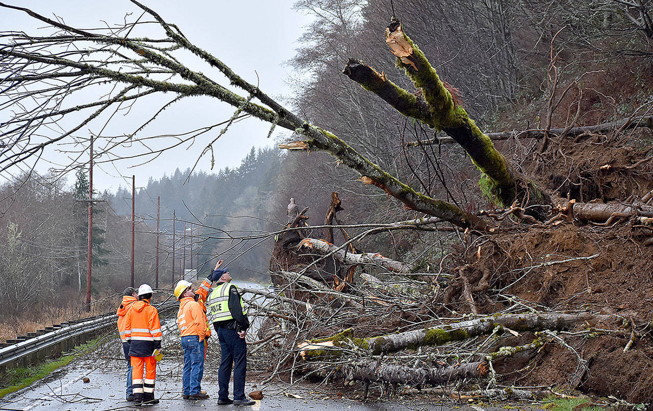 City of Hoquiam and State Department of Transportation workers, along with Hoquiam Police Chief Jeff Myers, assess the slide that closed State Route 109 just west of milepost 2 early Tuesday morning. The roadway was blocked in both directions with a detour set up at the State Route 109 spur. (Dan Hammock/Grays Harbor News Group)