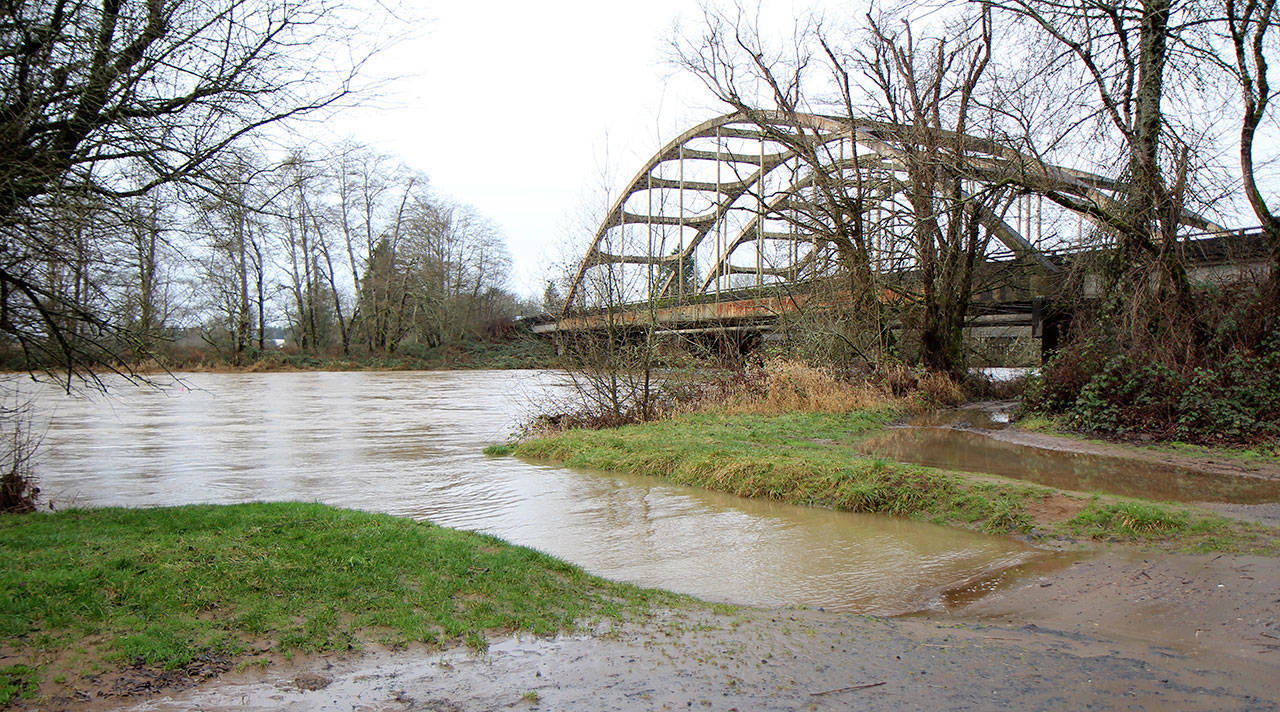 The Satsop River tests its banks Wednesdayat the boat launch beside the U.S. Highway 12 bridges just south of Satsop. The National Weather Service lifted the flood warning for the river Wednesday morning saying that “most rivers are now receding. (Michael Lang | Grays Harbor News Group)