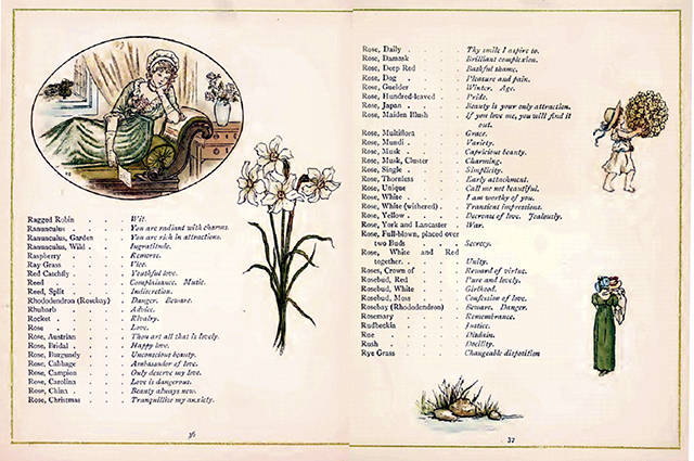 New York Public Library collection                                Pages from “The Language of Flowers,” illustrated by Kate Greenway, shows examples of “floriography” for the rose.