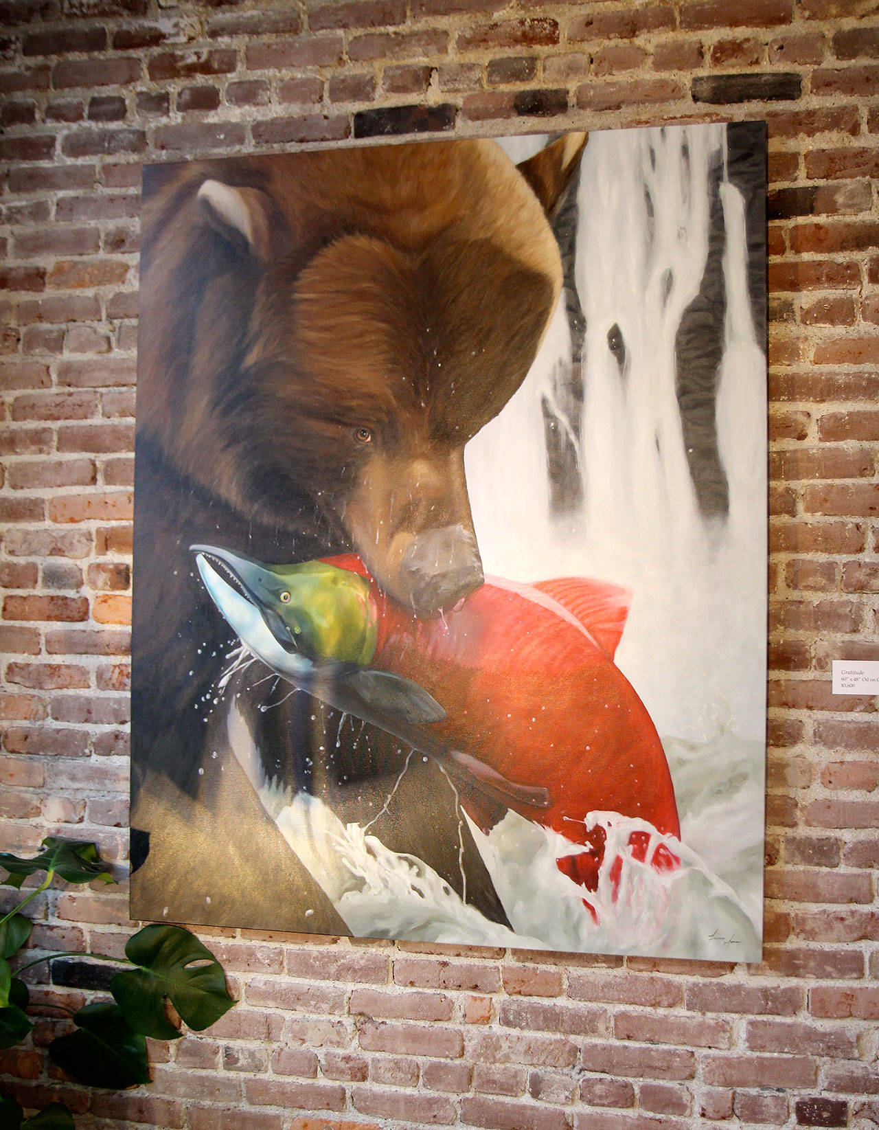 Michael Lang | Grays Harbor News Group                                A painting of a bear with a salmon in its mouth hangs on a wall at the Moore Gallery in Montesano.
