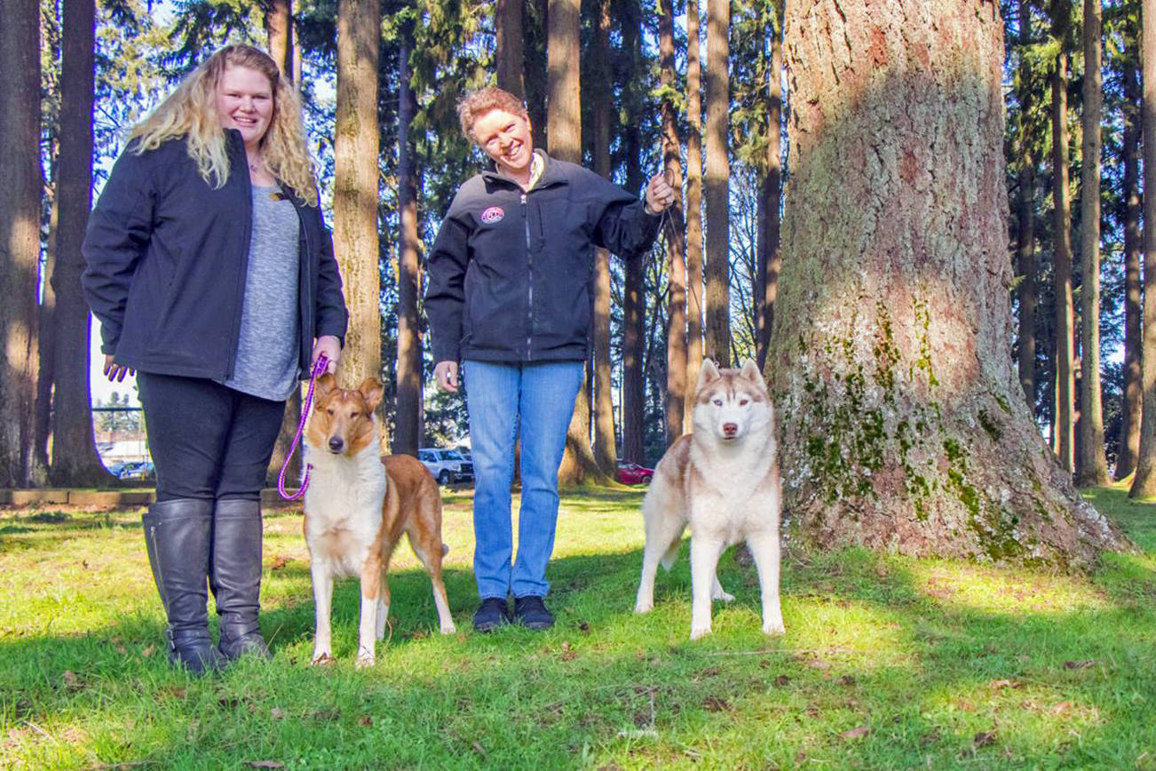 Chehalis dog owners take the path less traveled to Westminster Dog Show