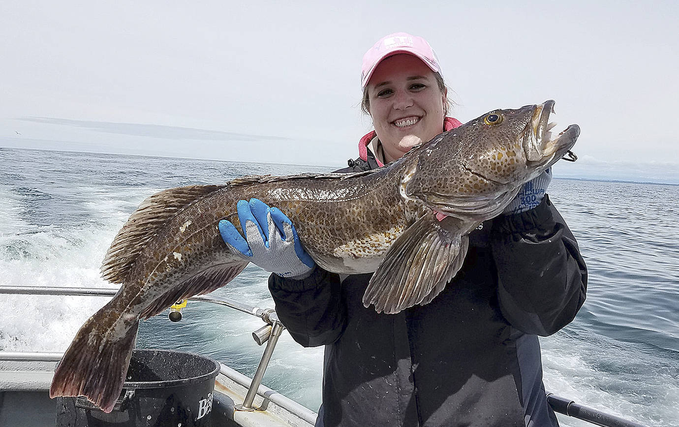 COURTESY CHARTERBOAT PREDATOR                                 Bottomfish season starts Saturday out of Westport, which puts anglers in reach of lingcod like this one taken last year aboard the charterboat Predator.