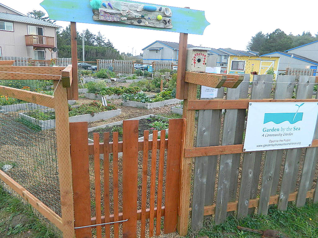 Garden by the Sea in Ocean Shores took applications in late March for community garden plot rentals and sold out its waiting list. (Courtesy Photos)
